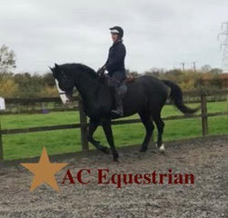 AC Equestrian